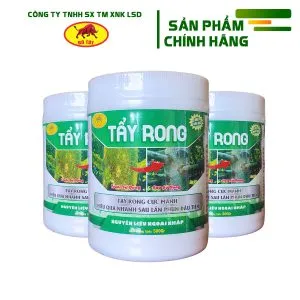 Bò Tót Tẩy Rong 500gr