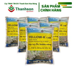 Yellow K 12GB 1kg
