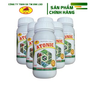 Bò Tót Atonic 500ml