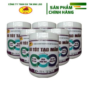 Bò Tót Tạo Mầm 500gr