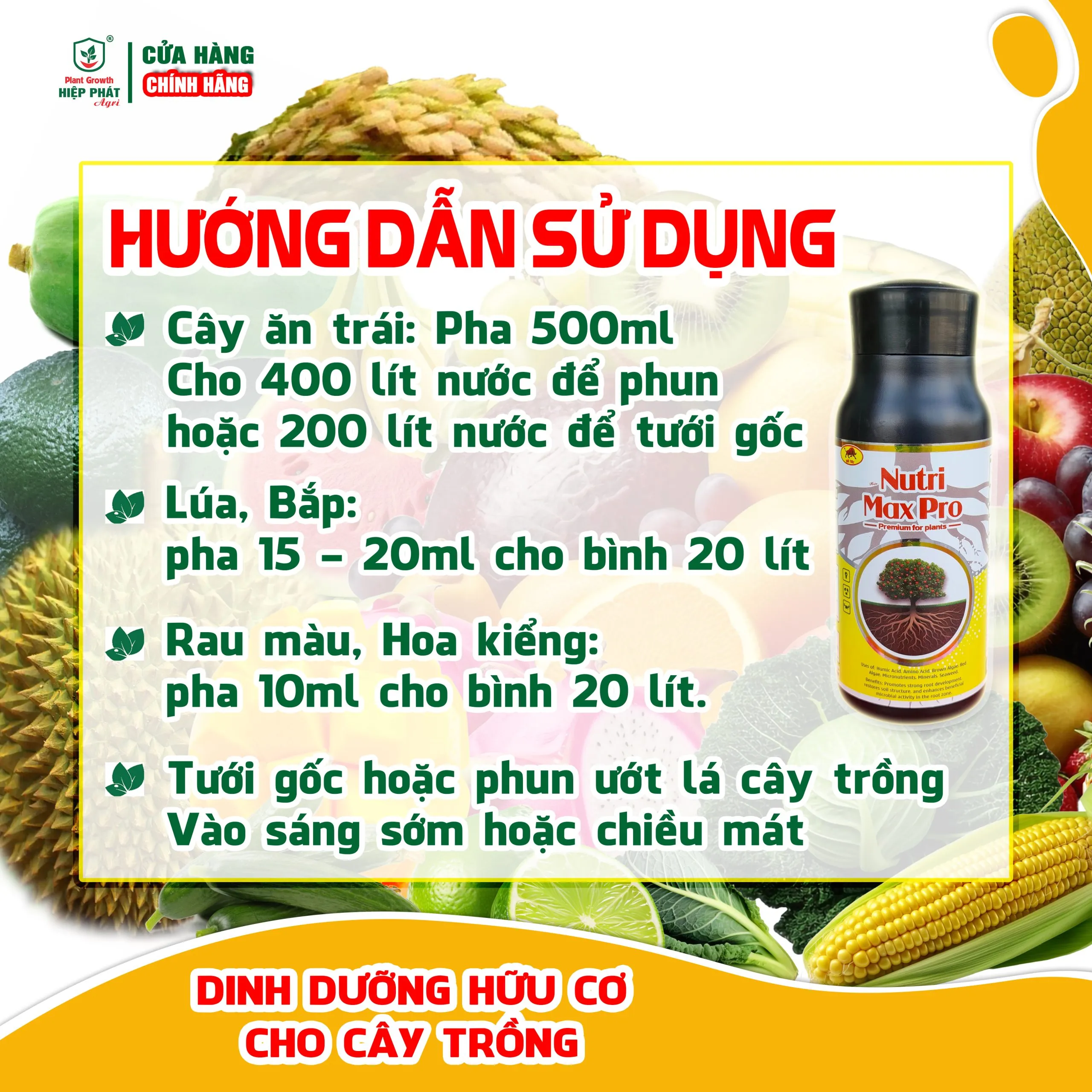 HUONG DAN SD