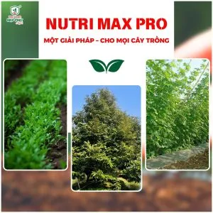 Nutri Max Pro 500ml