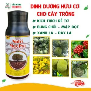 Nutri Max Pro 500ml