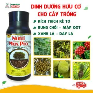 Nutri Max Pro 500ml