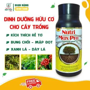 Nutri Max Pro 500ml