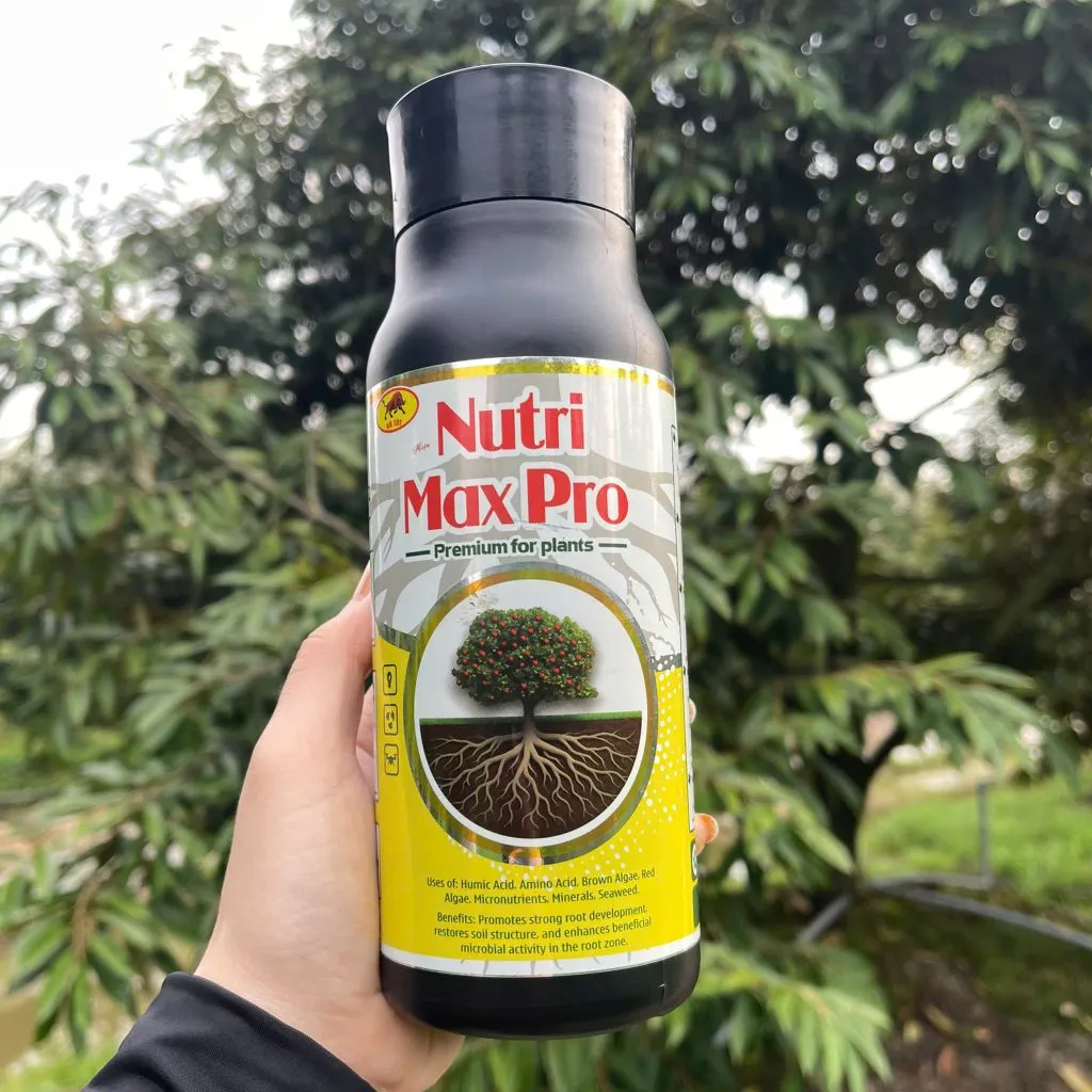Nutri Max Pro trên sầu riêng Xã Phú hựu